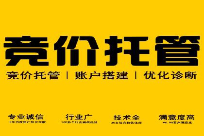 案例剖析：SEM托管服务助力企业品牌升级